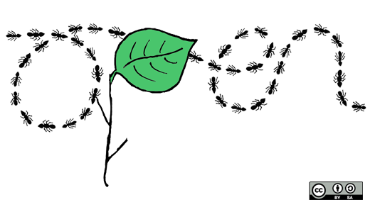 Mutation testing is the evolution of TDD | Opensource.com