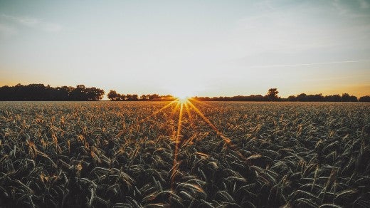 New open source agriculture project, Stack Overflow survey, and celebrate open source maintainers | Opensource.com