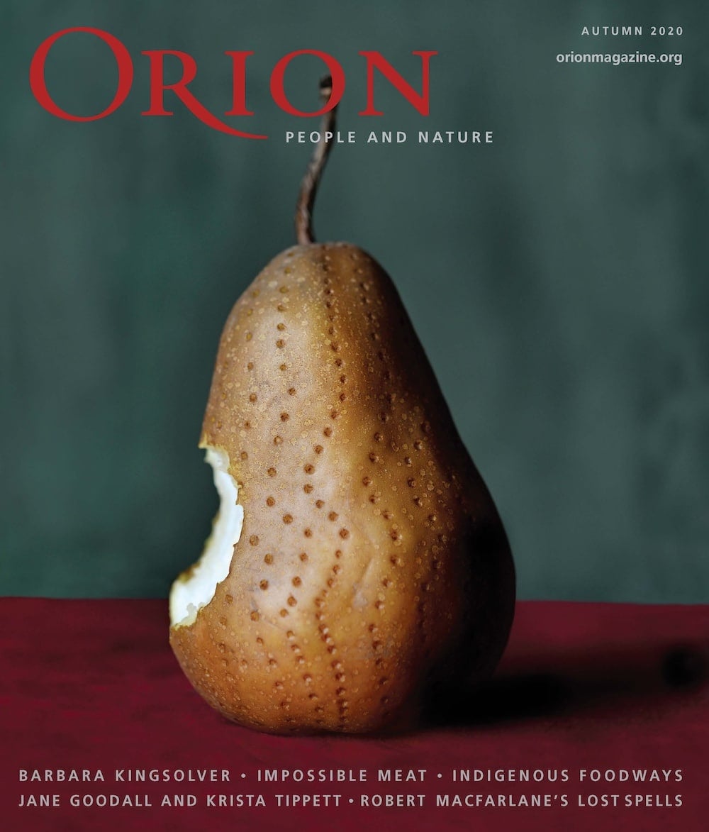 Autumn 2020 Issue - Orion Magazine