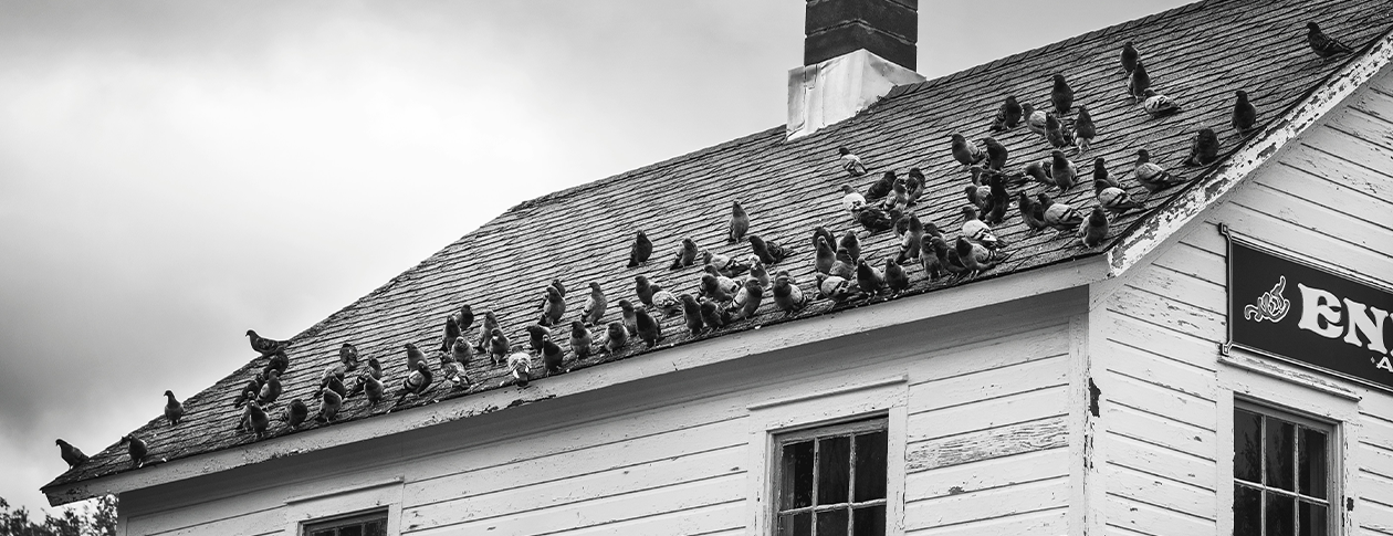 The sound of suspense: Hitchcock and Herrmann [playlist] | OUPblog