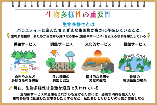 生物多様性とは？　重要性や訪れている危機、保全に必要なことを紹介：朝日新聞SDGs ACTION!