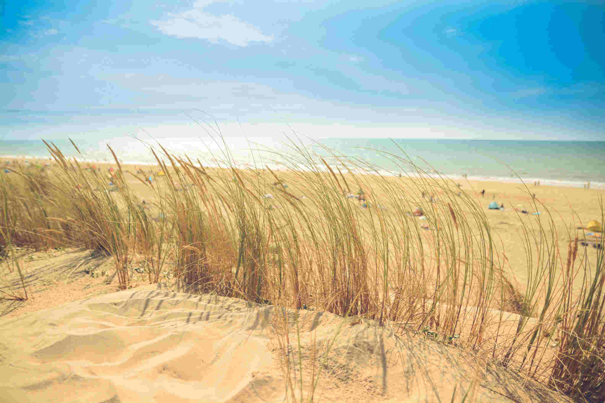 Unconstitutional decision on Lake Michigan beachfront access