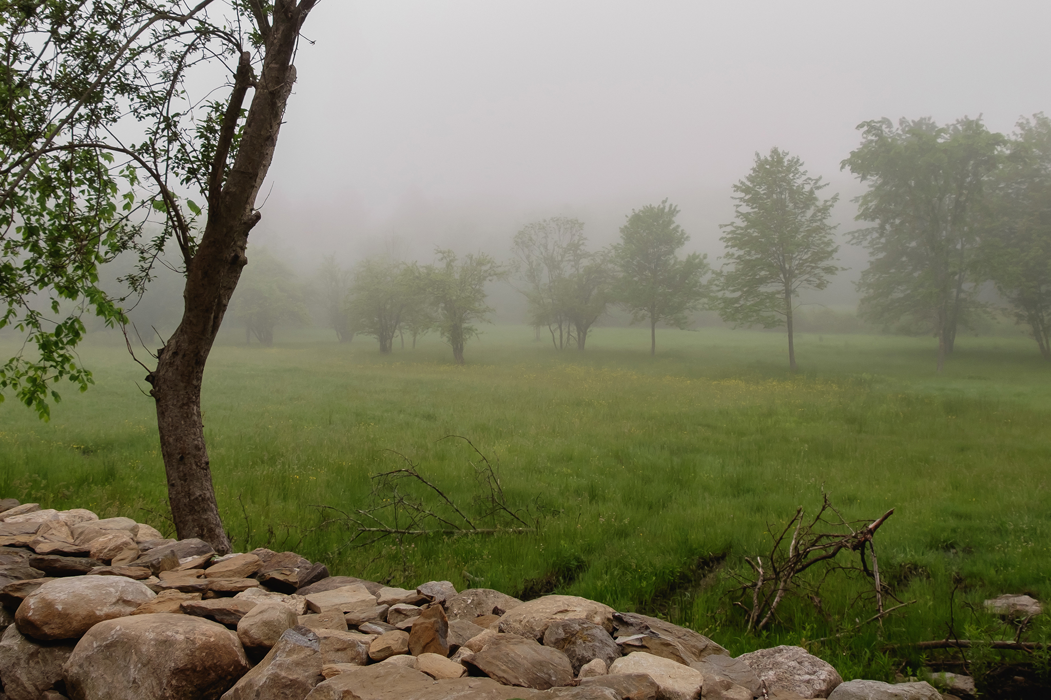 Horrifying government overreach: PLF asks Supreme Court to hear challenge to cemetery access law