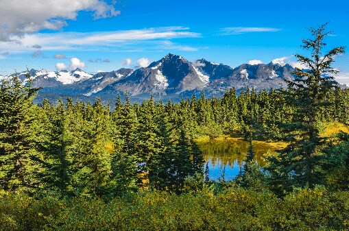 The Messenger: Should Alaska Natives Have To Fight the Government for Affordable Electricity?
