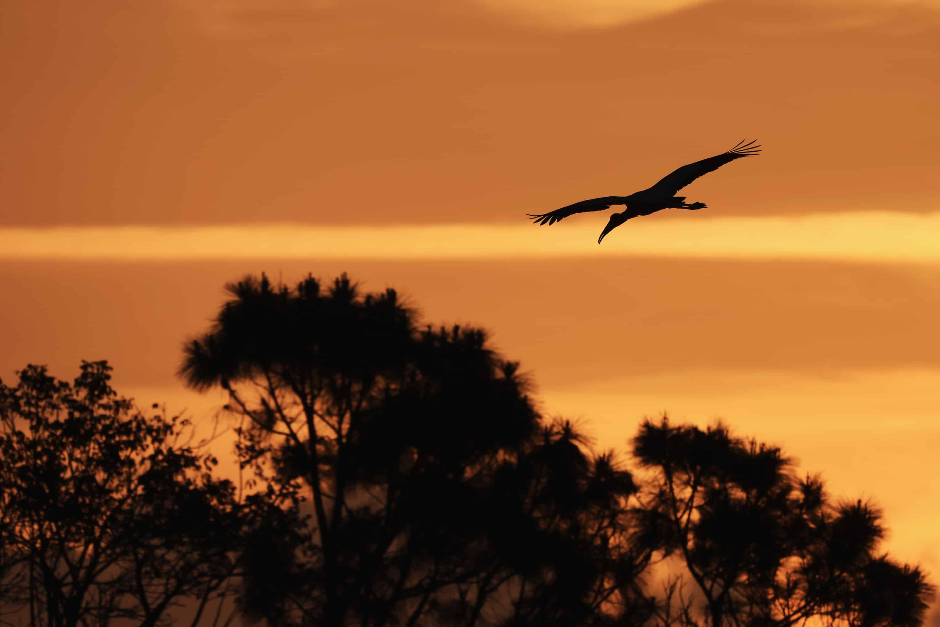Individual liberty, property rights, and conservation are intertwined