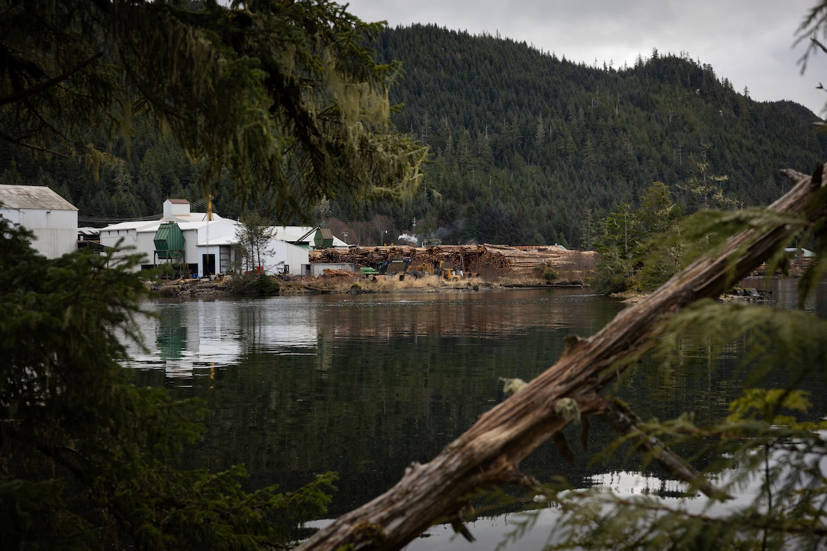 The Wall Street Journal highlights a family’s fight to protect their lumber business