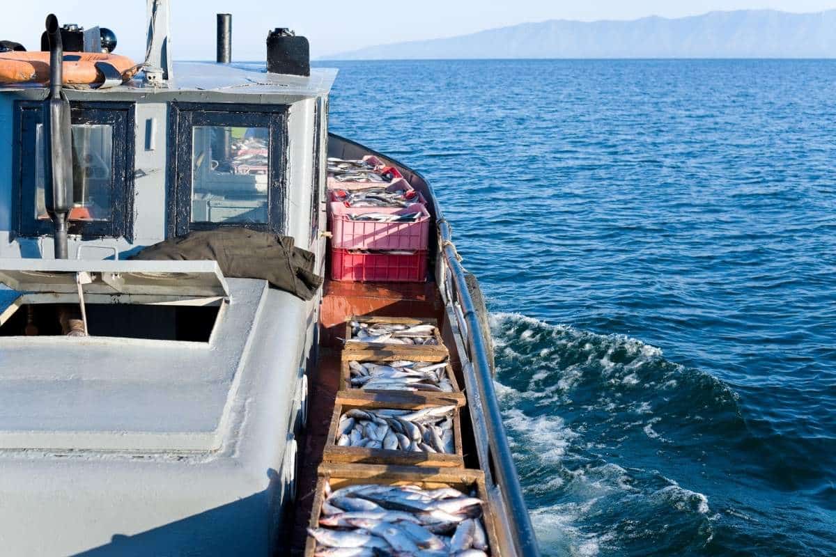 The Washington Post: A century-old law could cost these fishermen their livelihoods