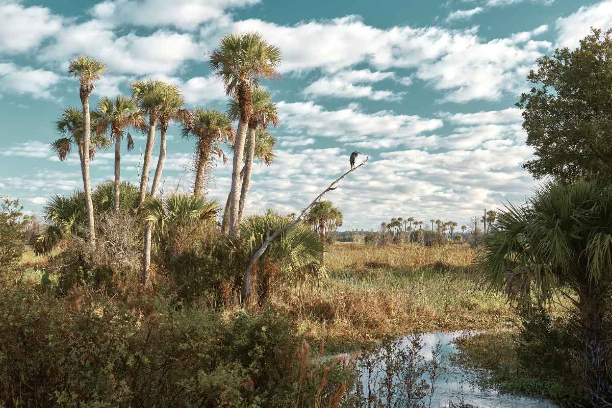 The Washington Post: Even Trump’s EPA can’t get it quite right on this silly wetlands law