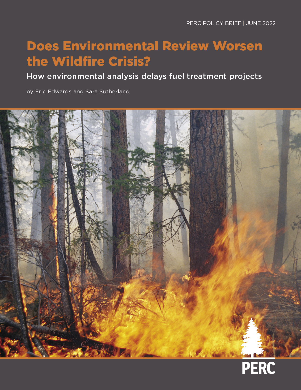 Does Environmental Review Worsen the Wildfire Crisis? | PERC