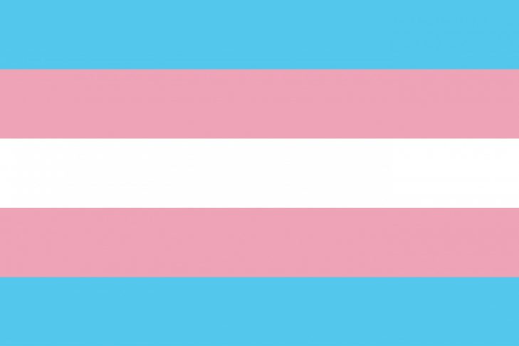 A House Divided is a Home for No-One: The Benefits of Supporting Trans and Non-Binary Rights – The Postgraduate Gender Research Network of Scotland