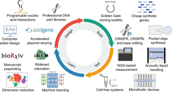 Plant Science Research Weekly: October 16, 2020 | Plantae