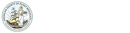 The Plant Cell | Plantae