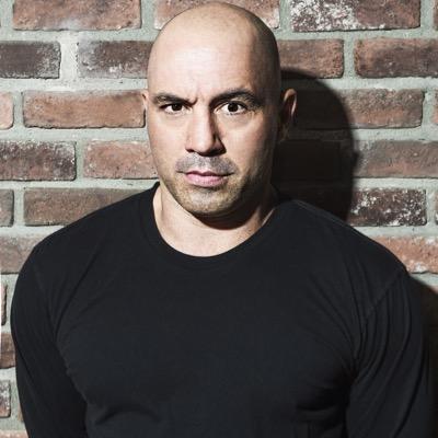 A Conversation with Joe Rogan – The Jordan B. Peterson Podcast (Part 1) • Podcast Notes