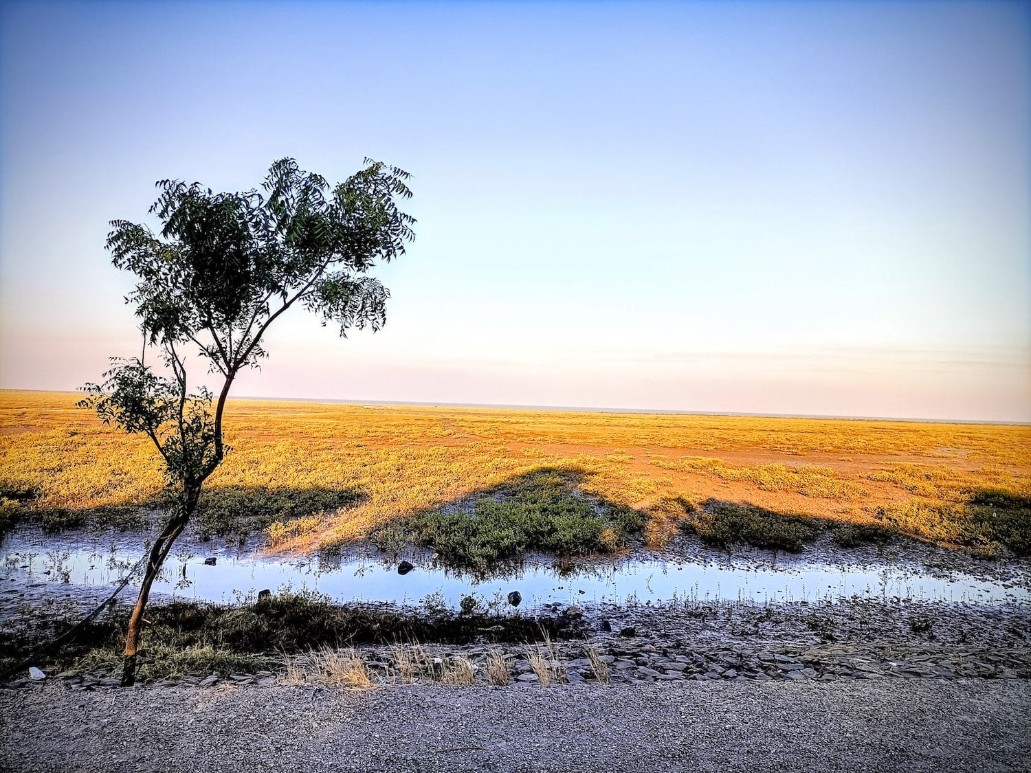 Old River, New Story: Solving the Cauvery Crisis - Poetic Earth Month