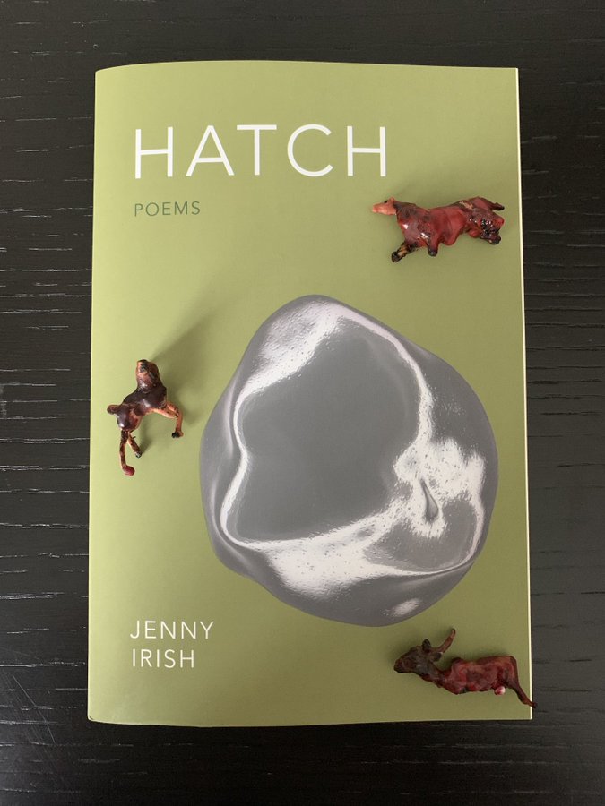 There are Nights that Feel Like Watching the Water Rise: Jenny Irish’s Hatch | Poetry Center