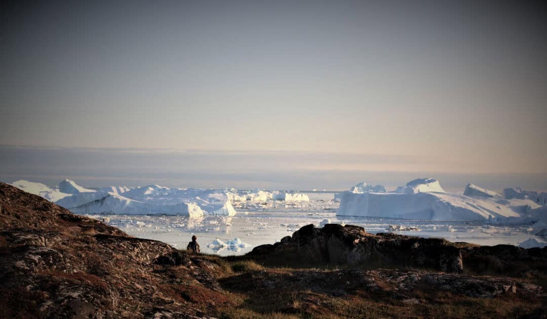 Sommer 2020, als das Abnormale zur Normalität wurde | Polar Journal