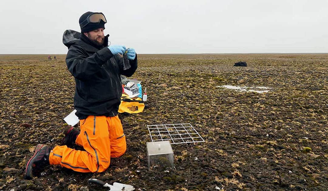 Politische Spannungen bringen "Lücken" in wissenschaftliche Daten aus der Arktis | Polar Journal