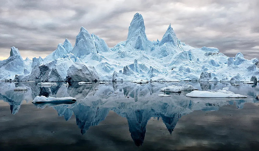 Newsletter | Polar Journal