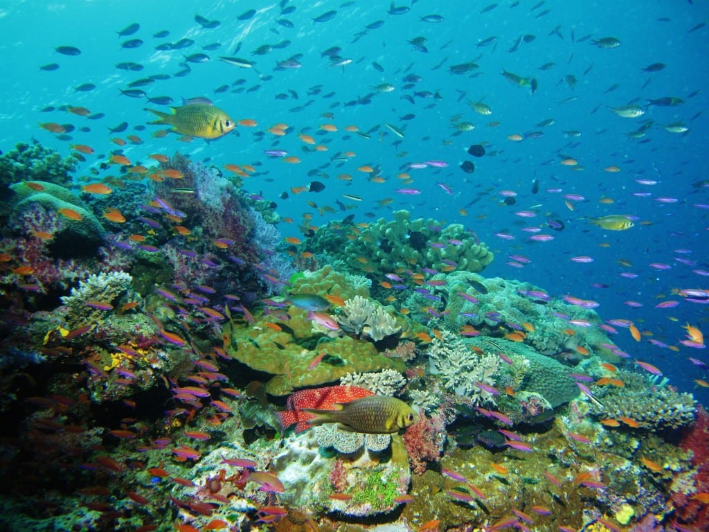 Favorite Biodiversity Quotes: Nature Needs Room - Postconsumers