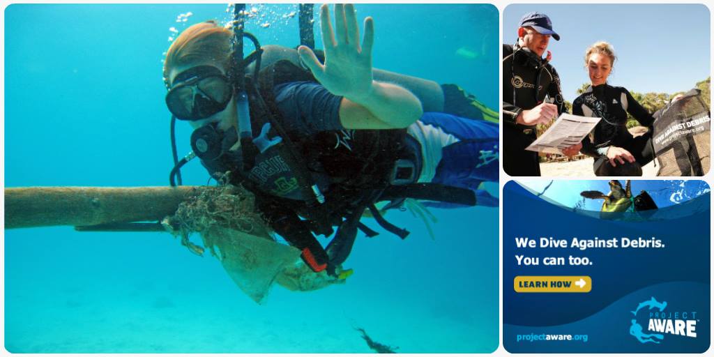 Teach the New Dive Against Debris Specialty - PADI Pros