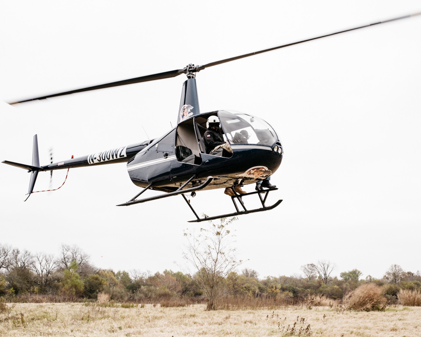 The Business of Shooting Pigs From the Sky