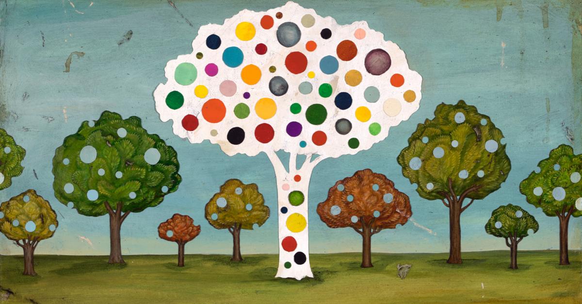 The First GMO Tree May Soon Be Planted in the Wild. Will It Restore or Harm America's Forests?
