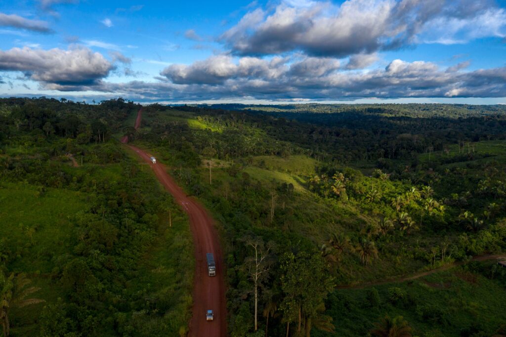Tree-Planting Efforts Could Curb Humanity's Carbon Emissions
