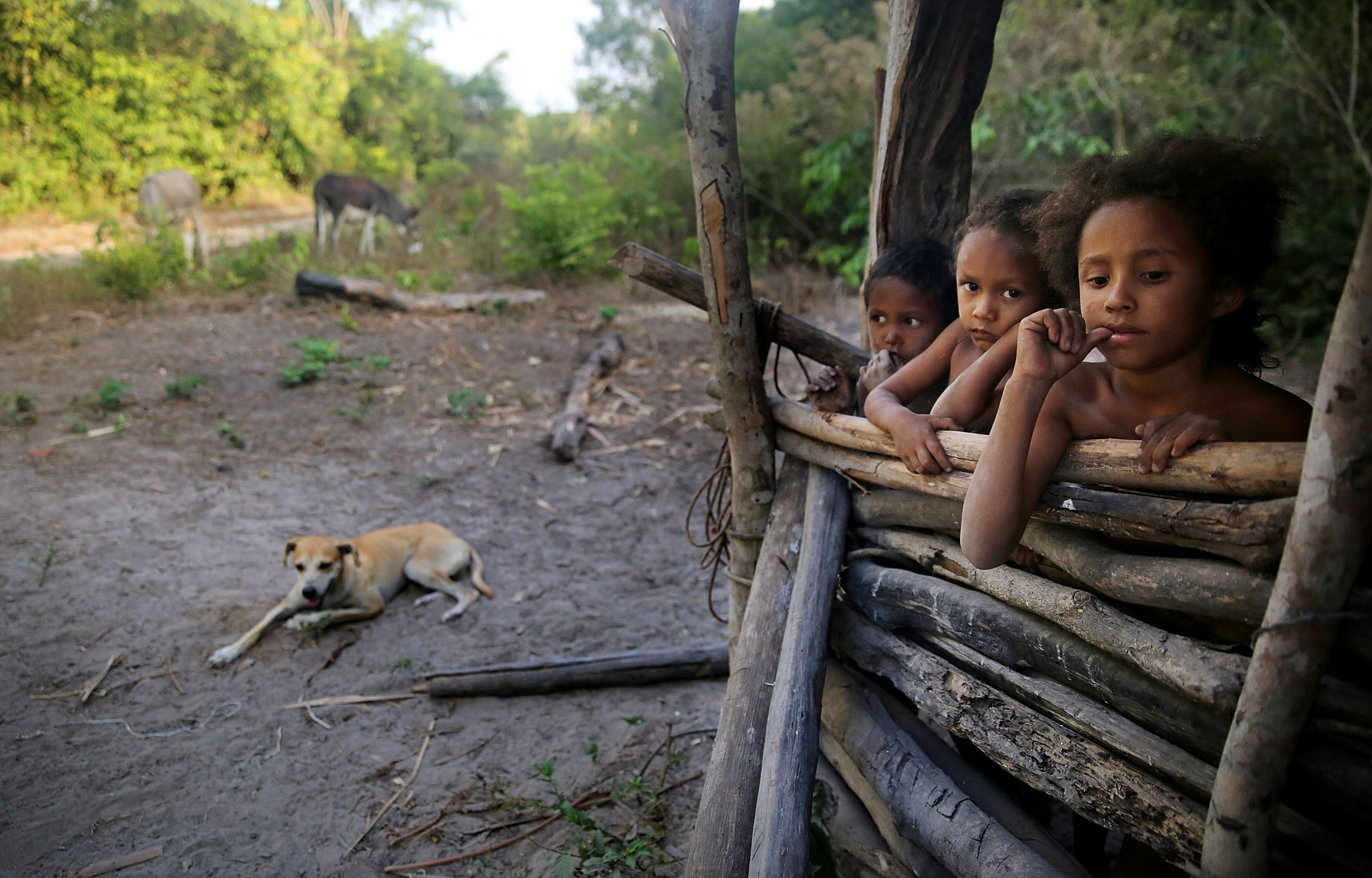 Inside the Land Rights Struggle for the Descendants of Runaway Slaves in Brazil