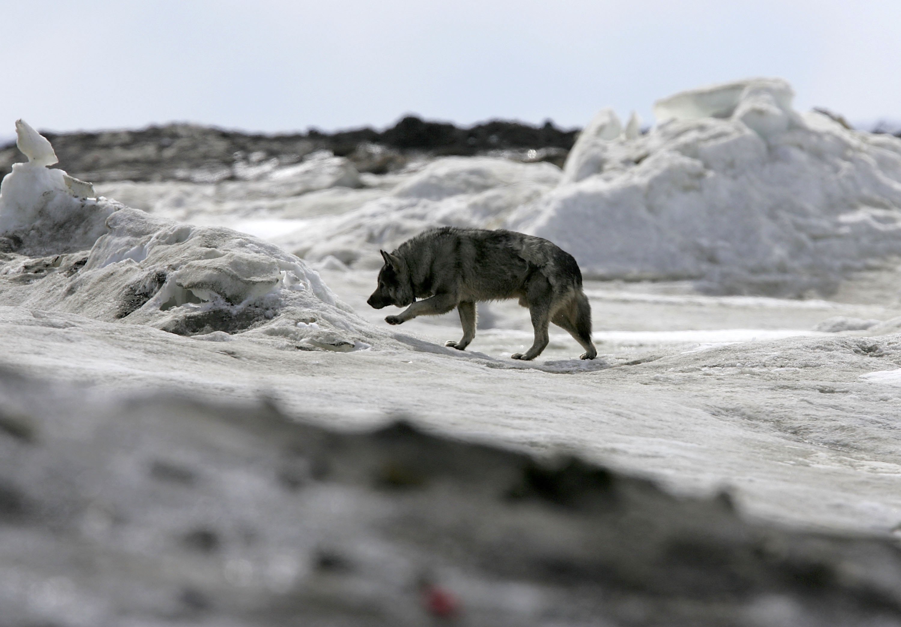 Deniers Have Launched a Losing Debate Over a 'Hiatus' in Global Warming - Pacific Standard