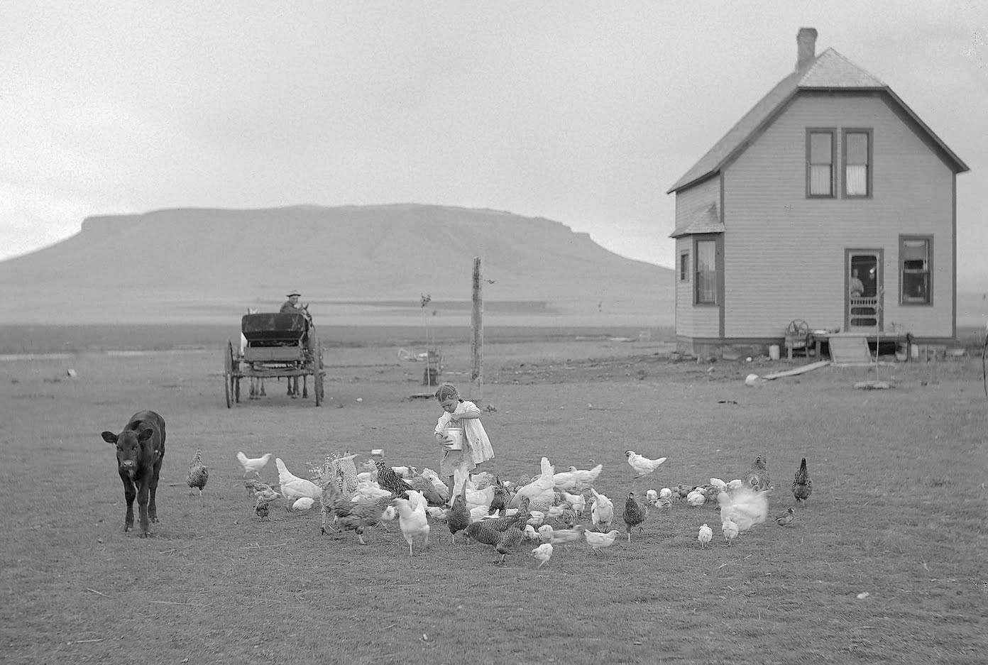 Inequality Is Nothing New