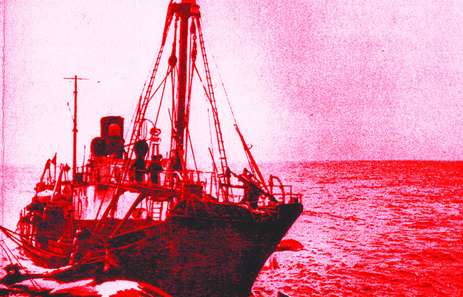 The Most Senseless Environmental Crime of the 20th Century - Pacific Standard