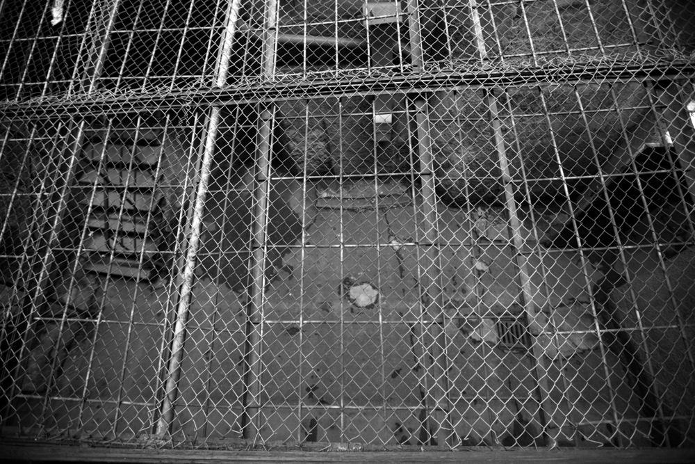 A Second Chance for Prisoners Offers Powerful Possibilities - Pacific Standard