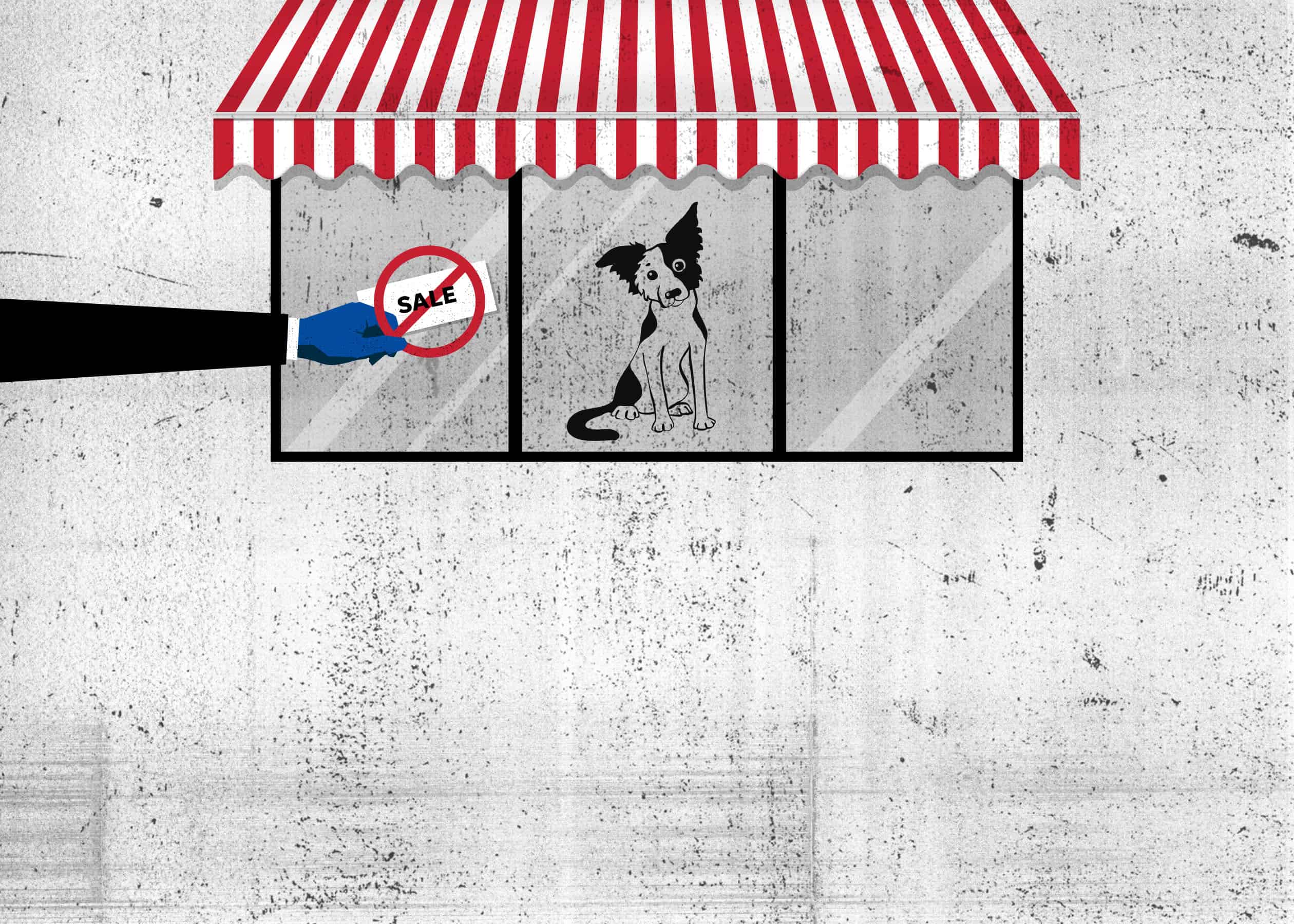 Puppies, phones and porn: How ‘model legislation’ affects consumers’ lives – Center for Public Integrity