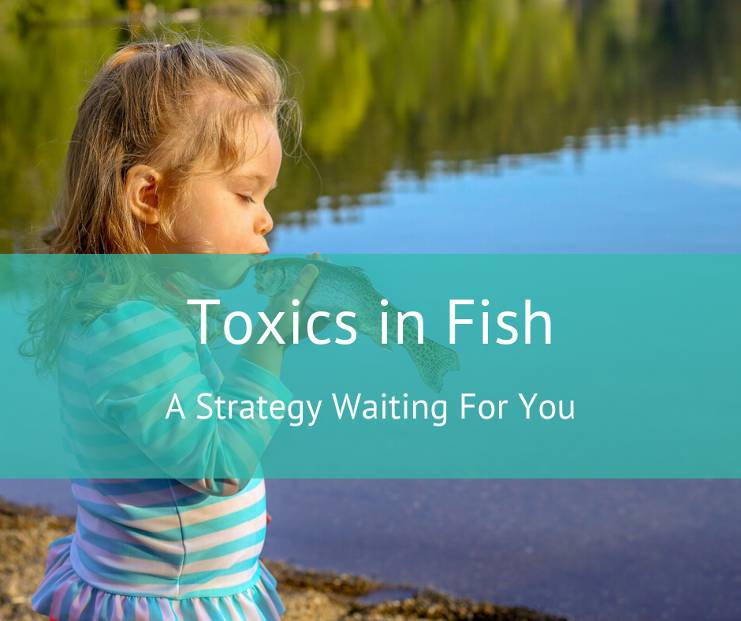 Toxics in Fish – A Strategy Waiting for You - Strategic Initiatives of the Puget Sound National Estuary Program