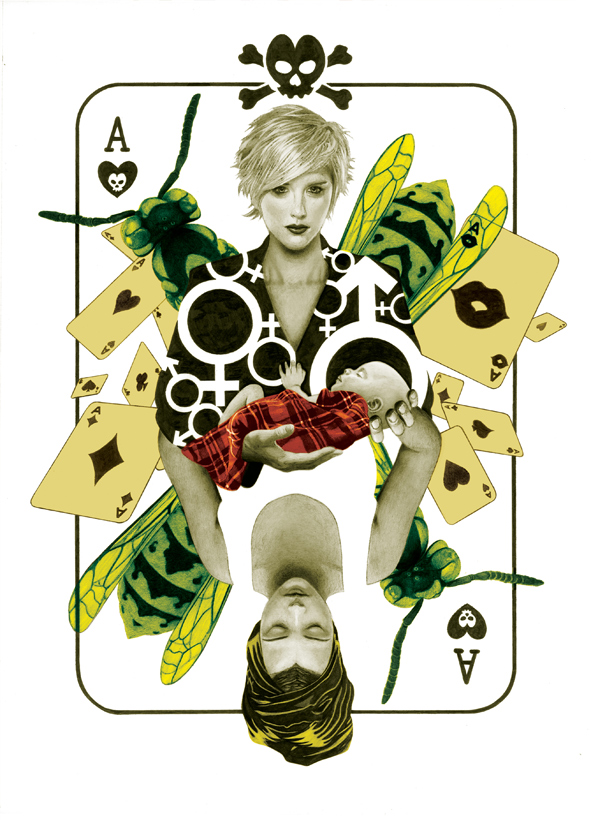 Carrie Vaughn, cover