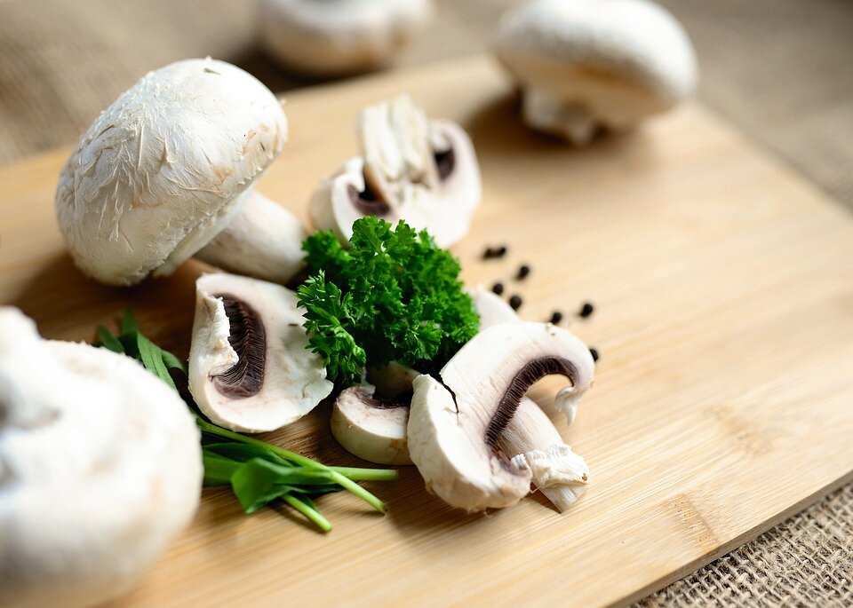 U.K. startup Biohm is using mushrooms to insulate new homes