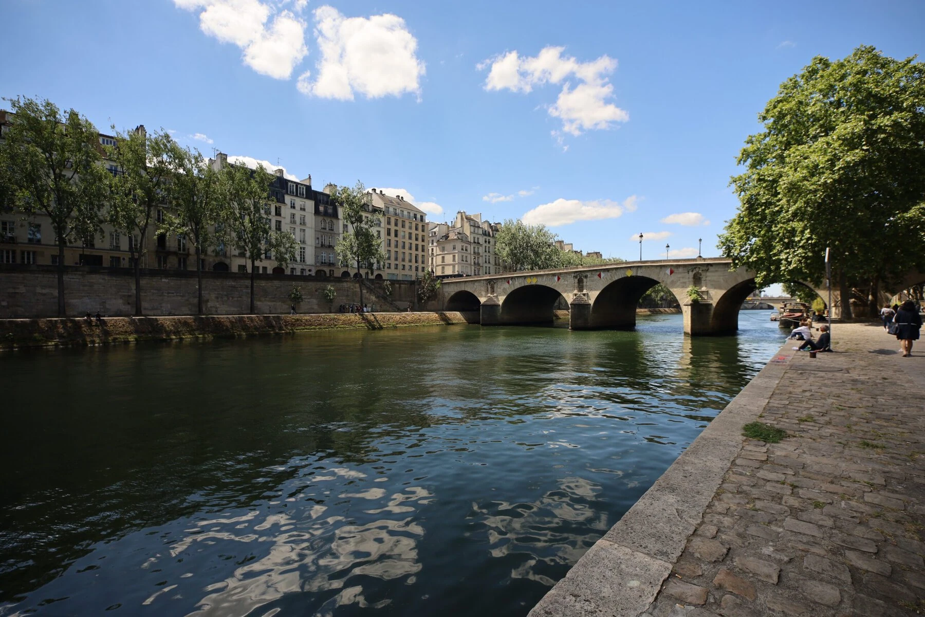 Fish Are Thriving in the River Seine