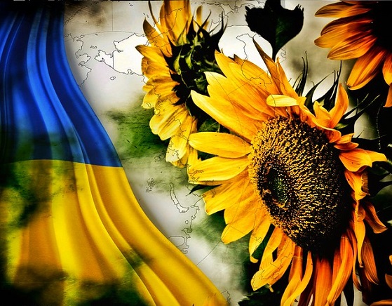 Suppose Sunflowers Were Blooming in Ukraine. {poetry} | Rebelle Society