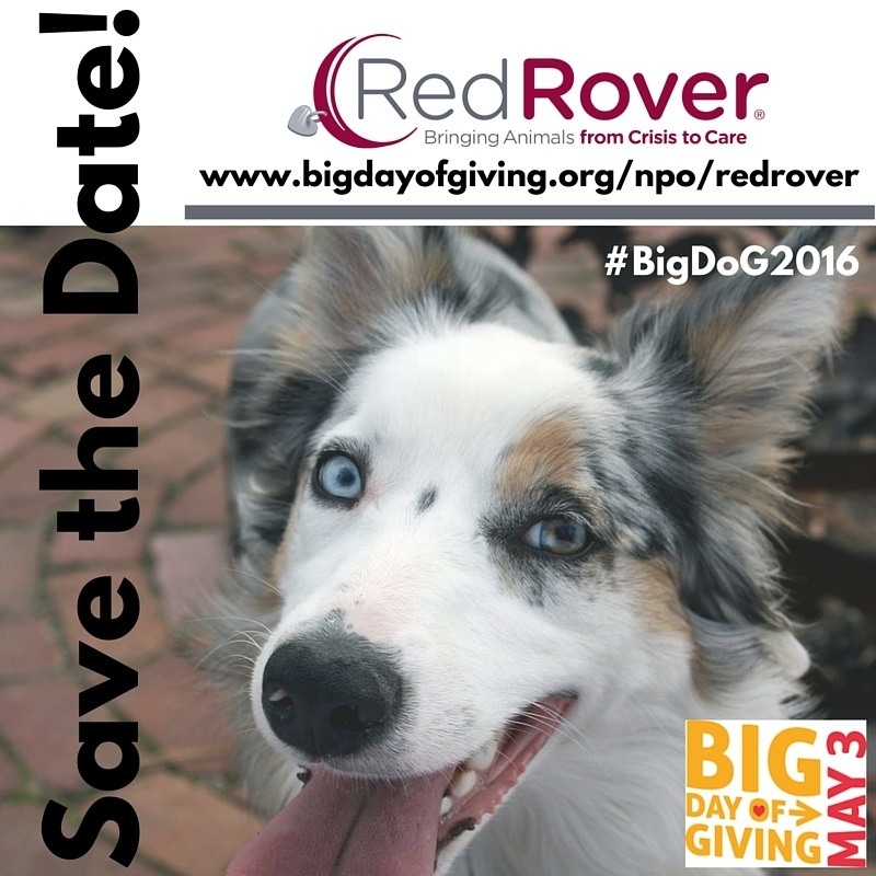 Save the date! May 3rd Big Day of Giving - RedRover