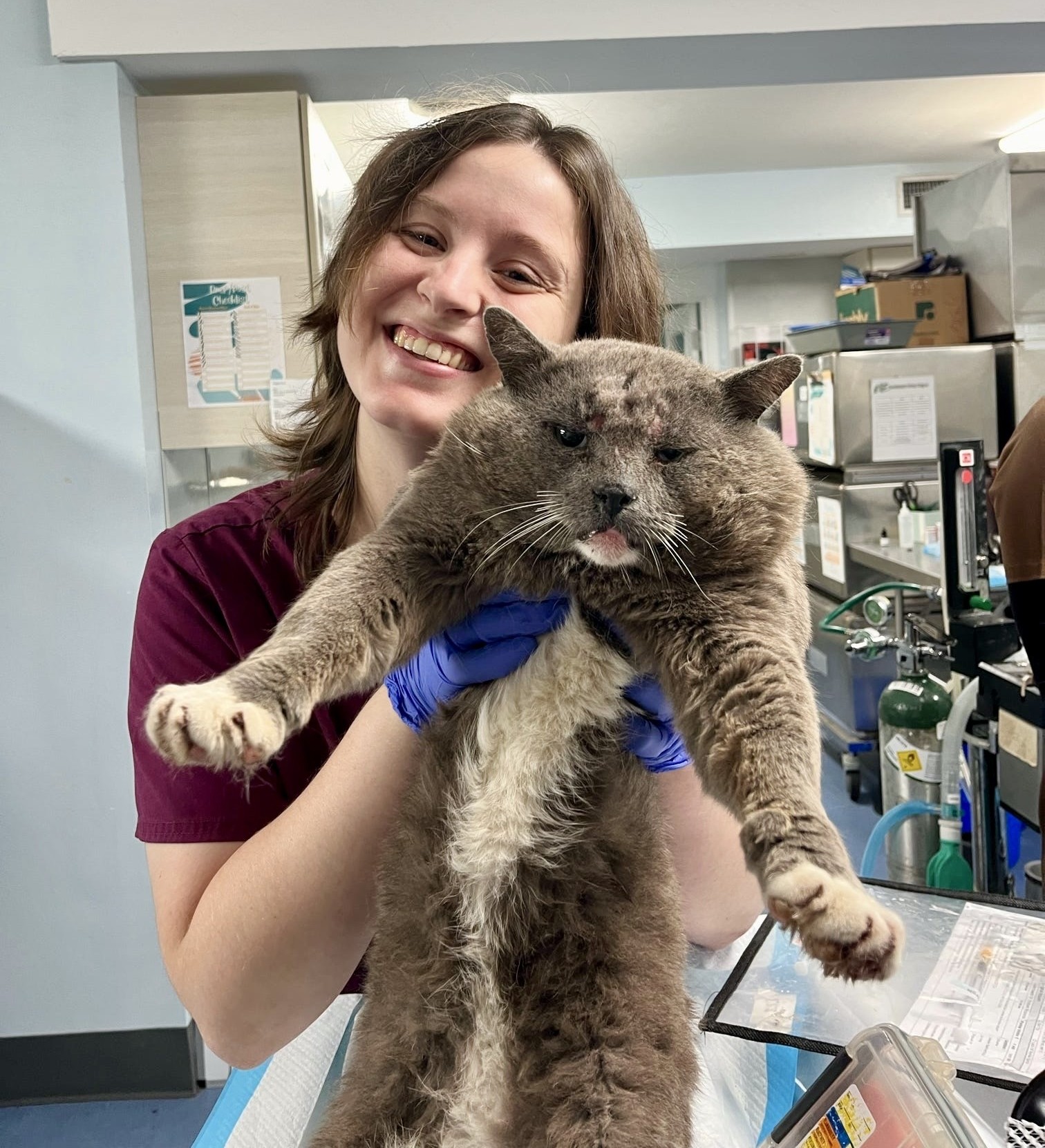 Coastal Cats TNVR in Taylor and Levy County, Florida - RedRover