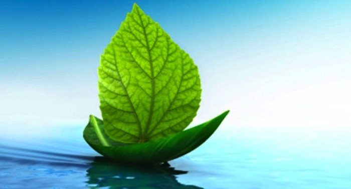 A Green Economy Could Propel Southeast Asia’s Growth and Protect the Environment - REGlobal - Opinion & Perspective