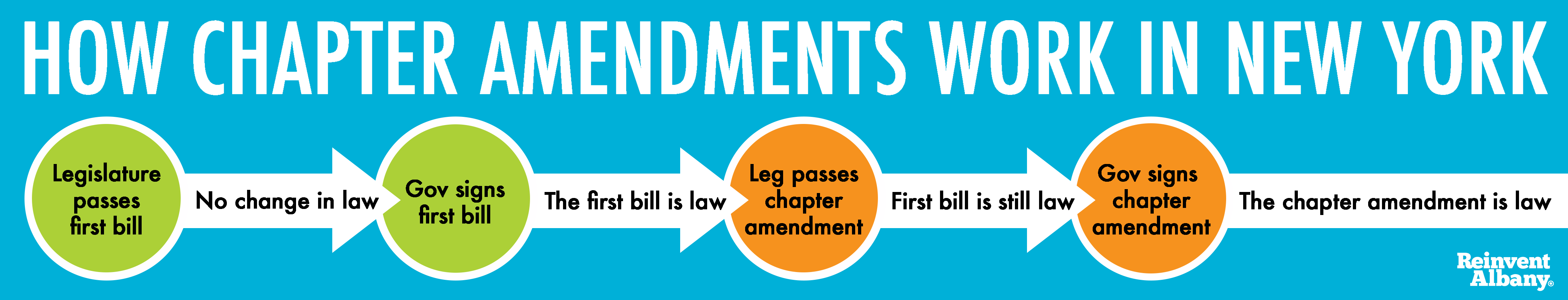 Everything You Ever Wanted to Know About “Chapter Amendments” - Reinvent Albany