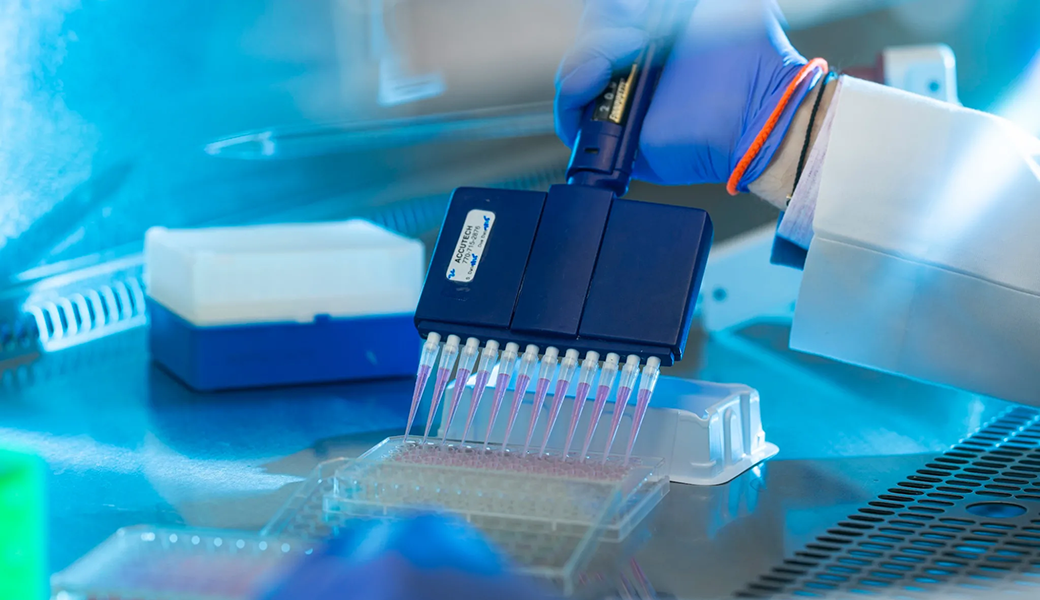 UGA sets another record with $654M in R&D expenditures in FY25 - UGA Research News