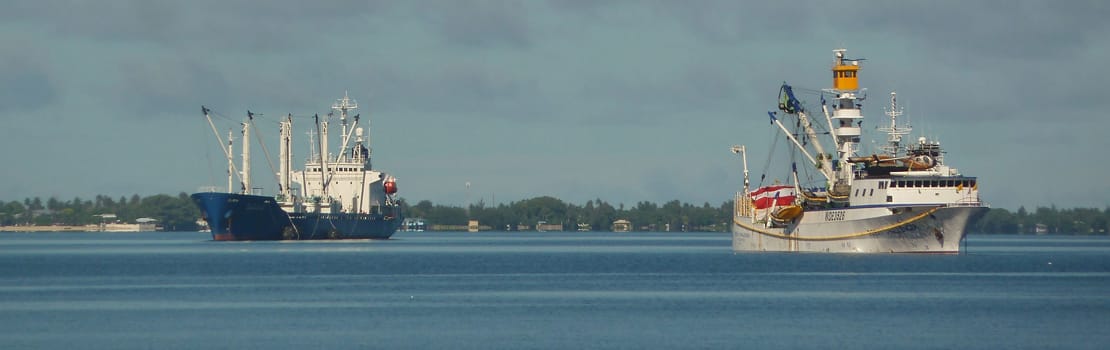 Tuna on the move: How climate change impacts Pacific Island economies