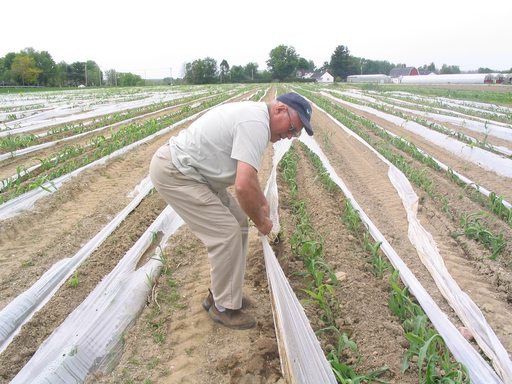 The Gopher State helps farmers recycle ag plastics - Resource Recycling