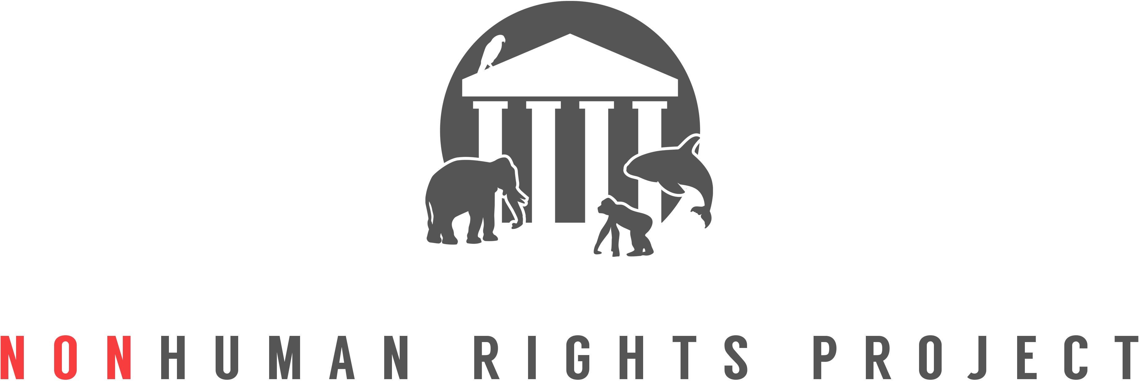 Habeas Corpus Experts Offer Support for Chimpanzee Rights
