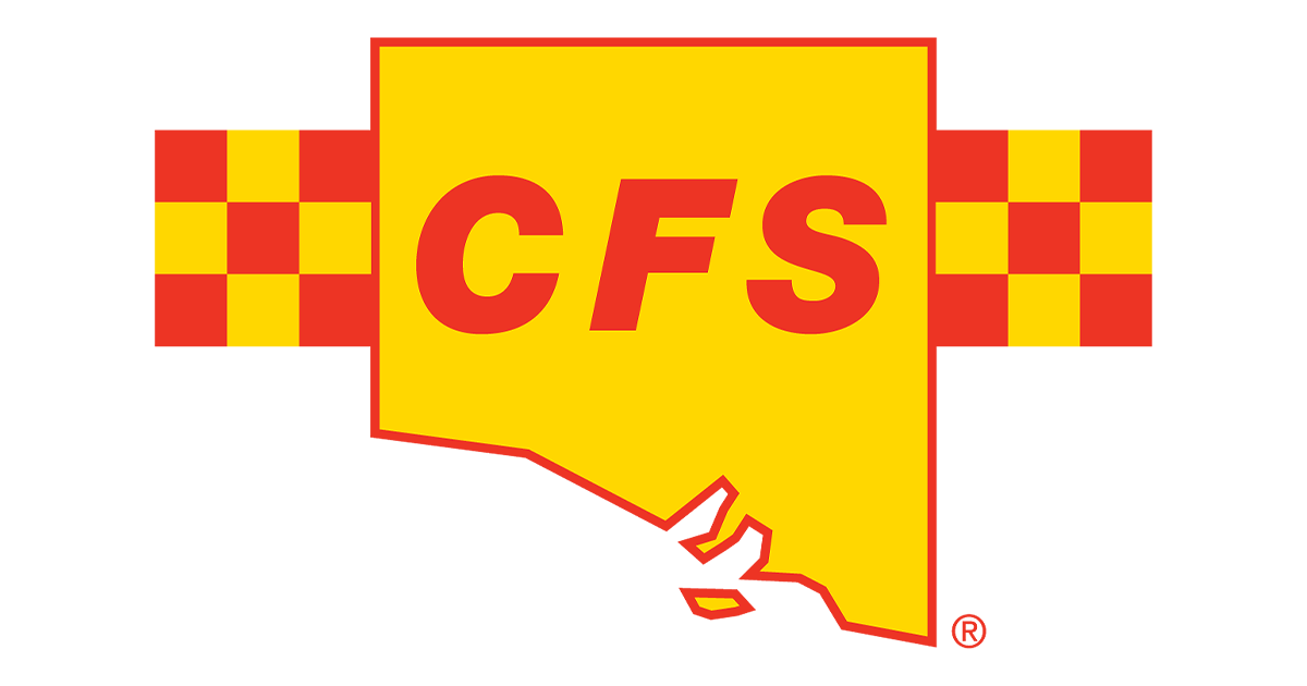 Disability Access & Inclusion Plan - CFS