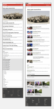 Cutting the mustard - Responsive News
