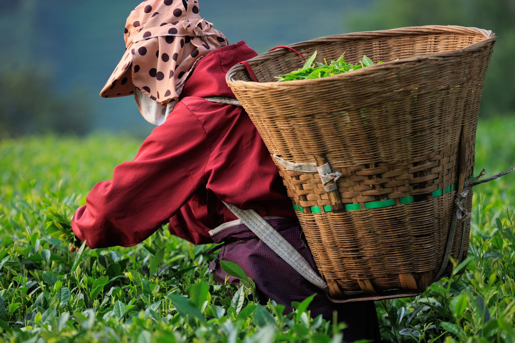 Dolores Huerta Feared Speaking About Her Abuse for Years. The Farmworkers She Advocates for Understand.