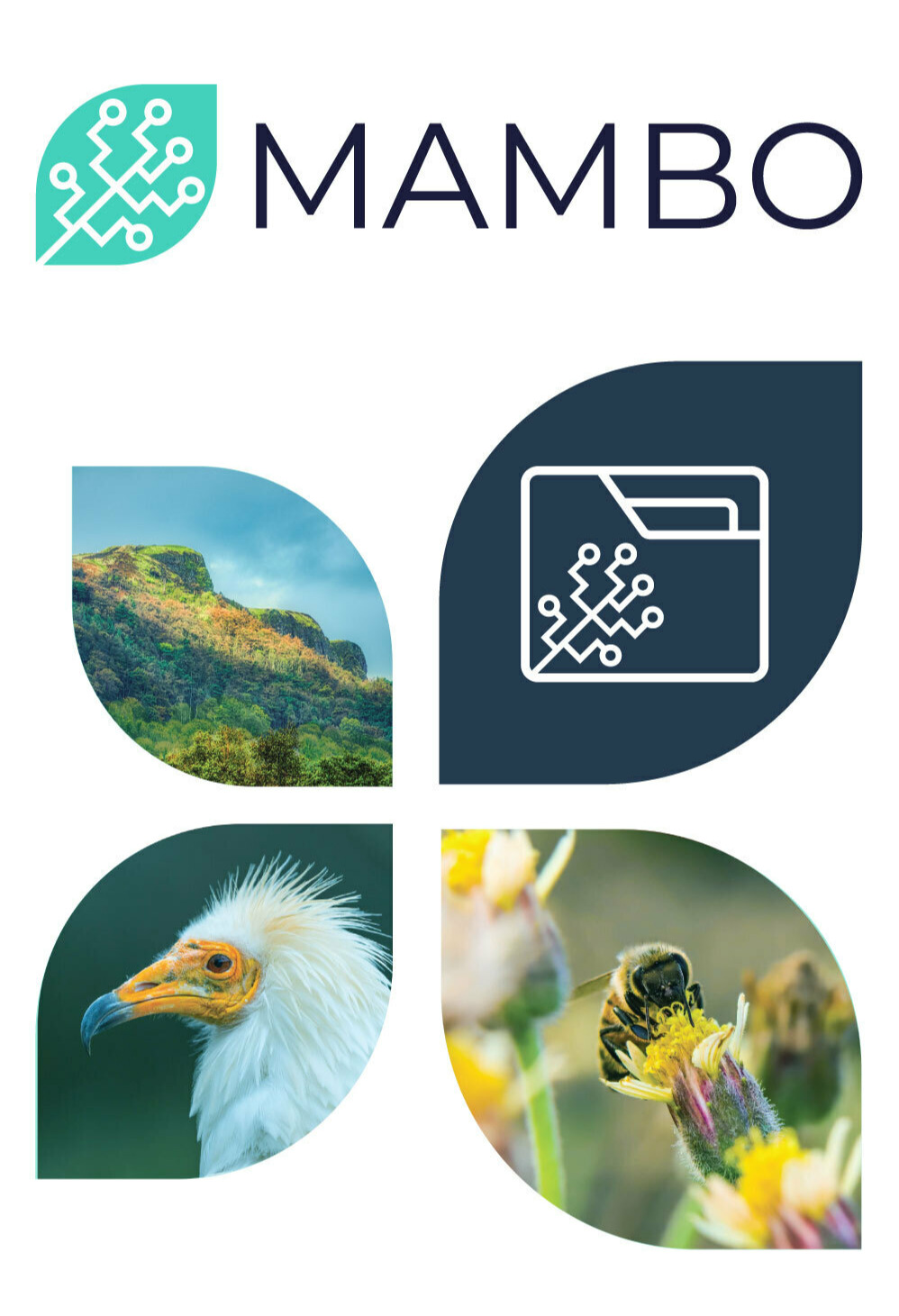 MAMBO – Modern Approaches to the Monitoring of Biodiversity